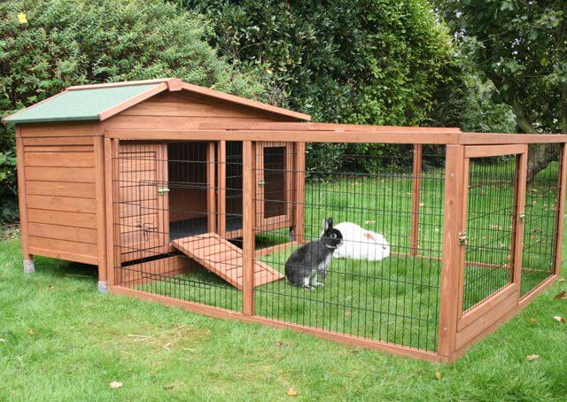 Outdoor Rabbit Hutch – Best Choices For 