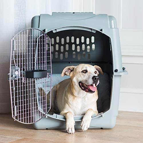 Petmate Sky Kennel Pet Carrier