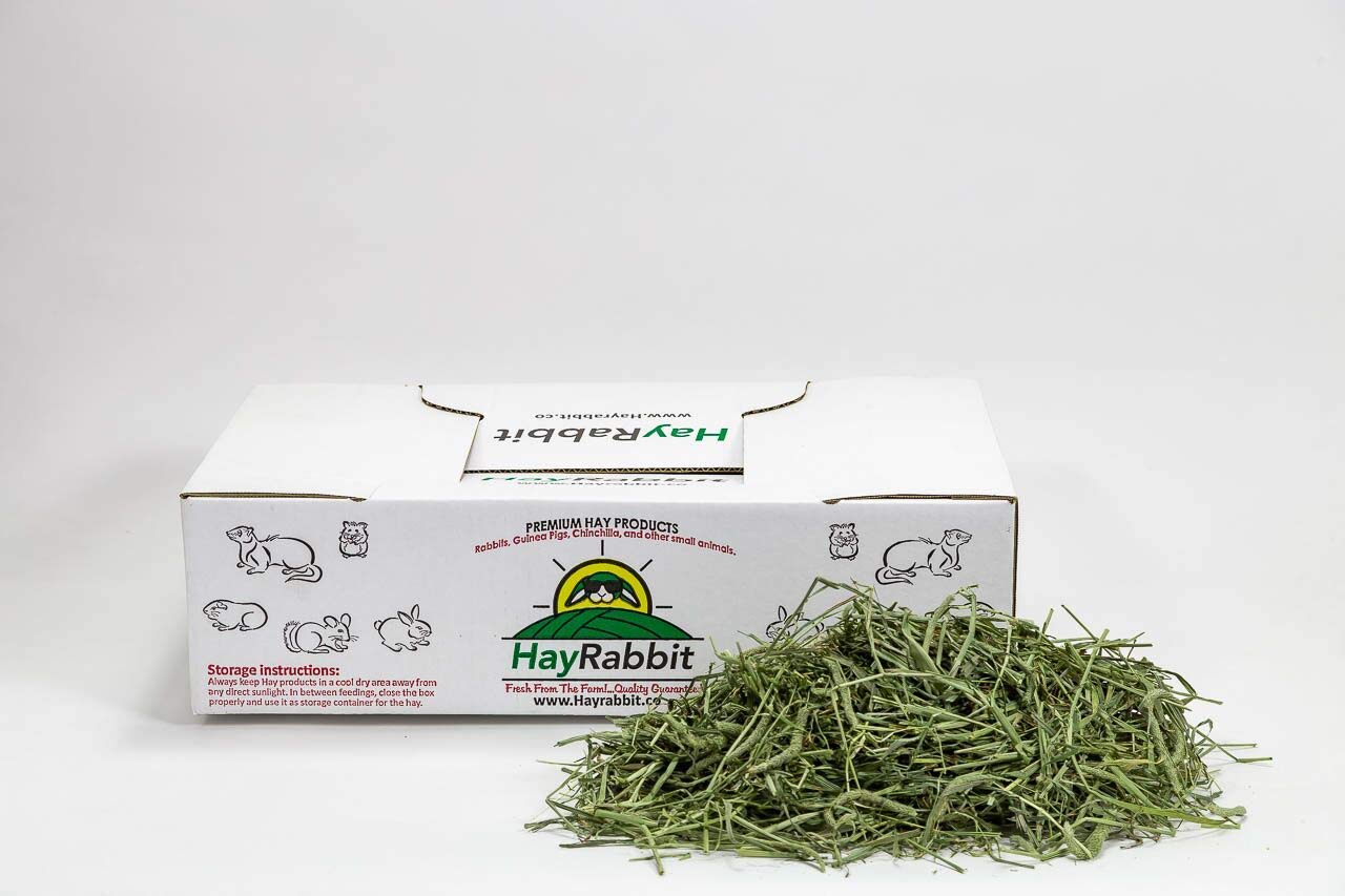 Hay-Rabbit-Premium