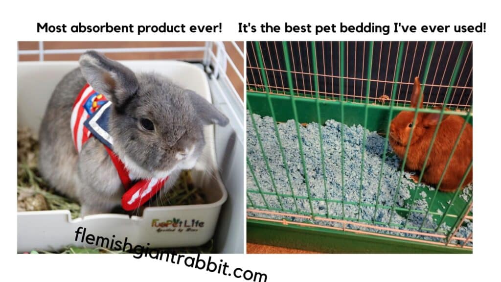 carefresh rabbit bedding