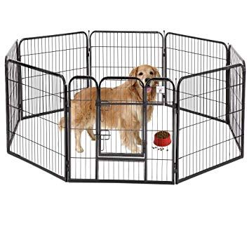 Best Playpen