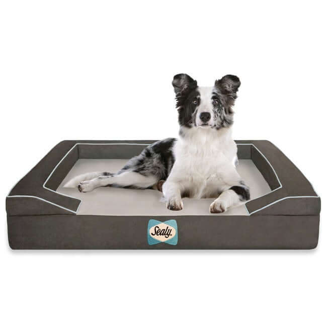 Foam Large Pet Bed