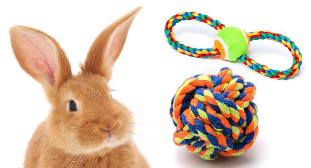 Rabbit Toys