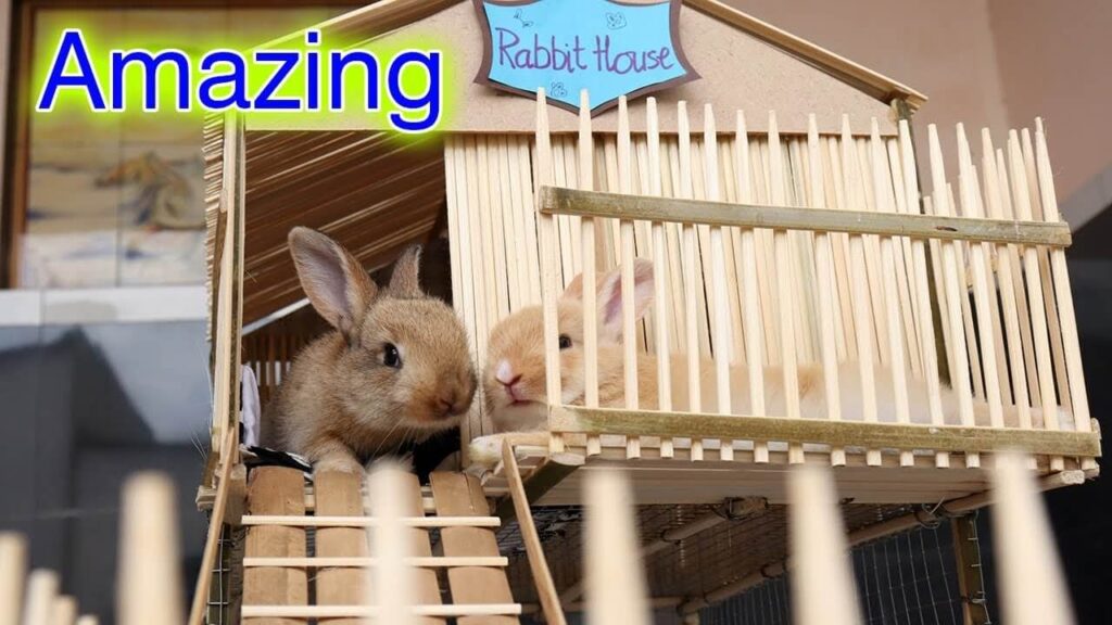 Best Rabbit Hideout – Top Choices For 2023