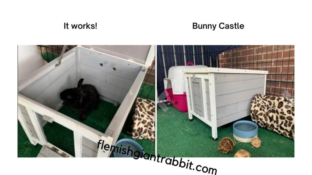 Best Rabbit Nesting Box Top Choices For 2023