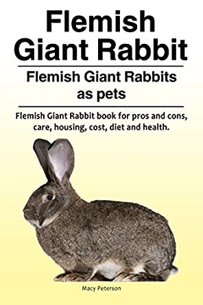 Flemish Giant Rabbit Official Society And Best Community