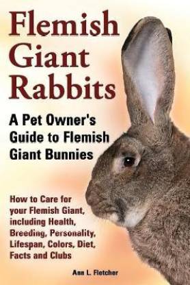 Flemish Giant Rabbit Official Society And Best Community