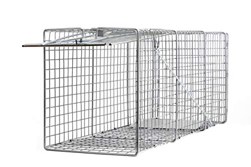 Best Rabbit Trap – Top Choices For 2023