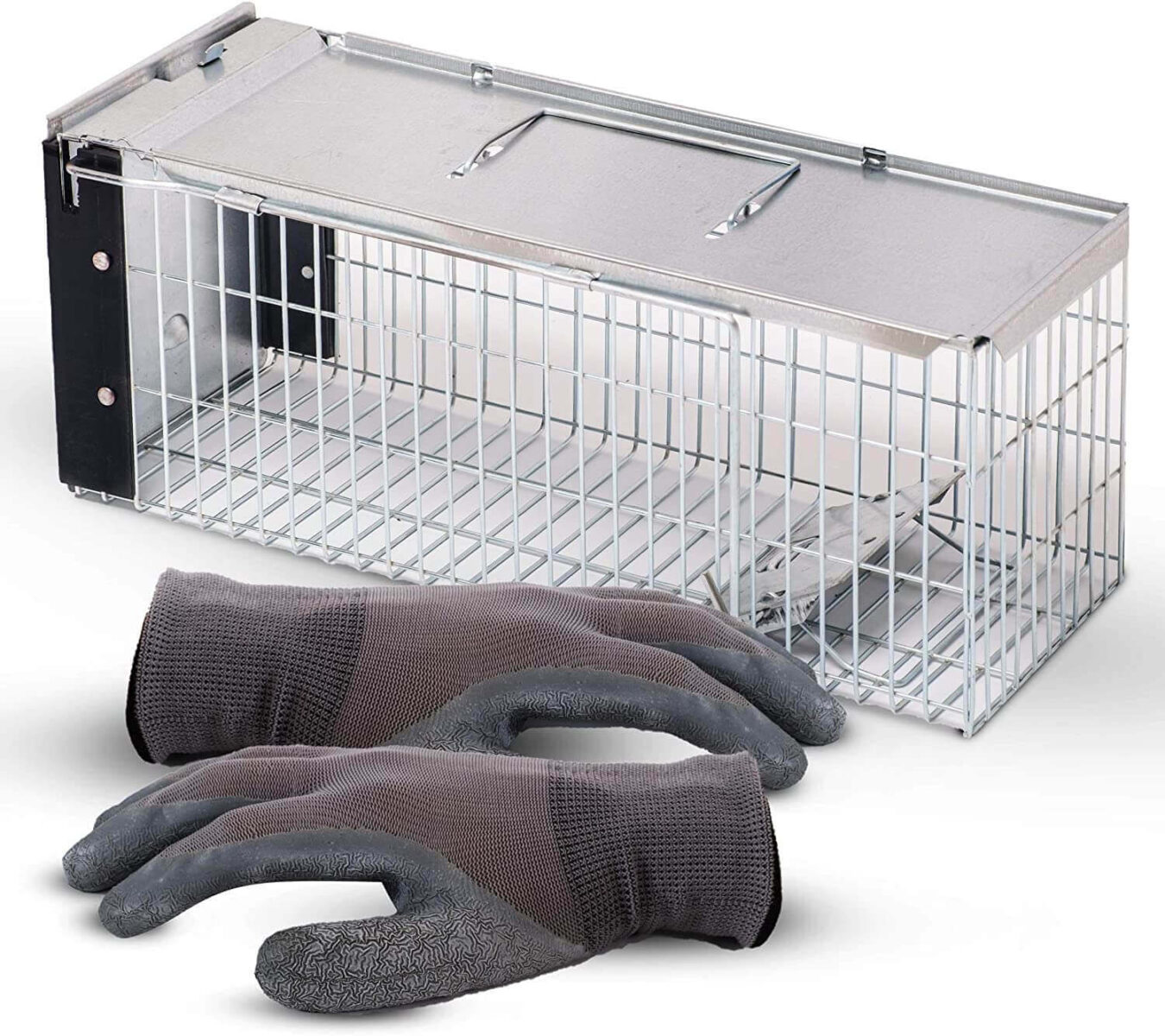 Best Rabbit Trap – Top Choices For 2023