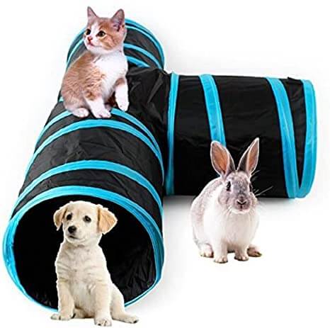 three way rabbit tunnel