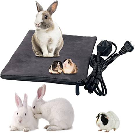 Best rabbit pad