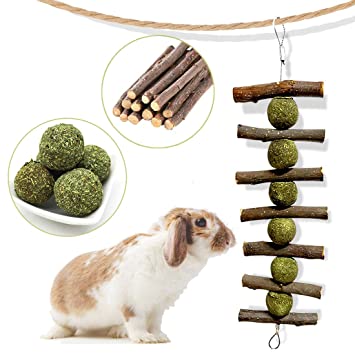 Best Rabbit Chew Toys Of 2023 - Reviews & Guide