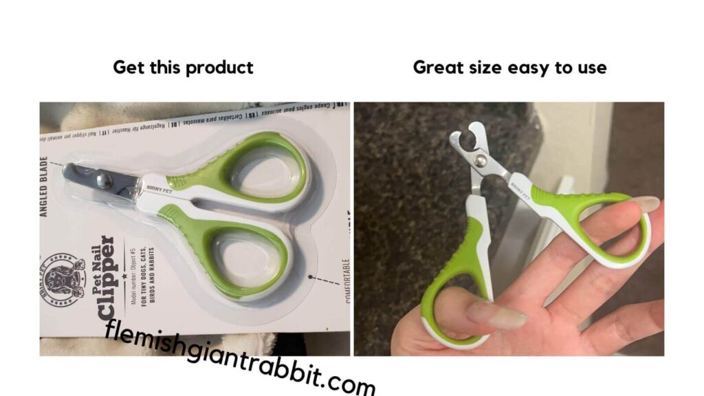 Pet Nail Clippers Test and Review