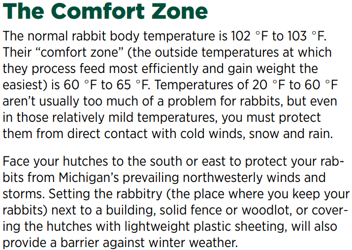 Do Rabbits Get Cold At Night? Everything You Need To Know